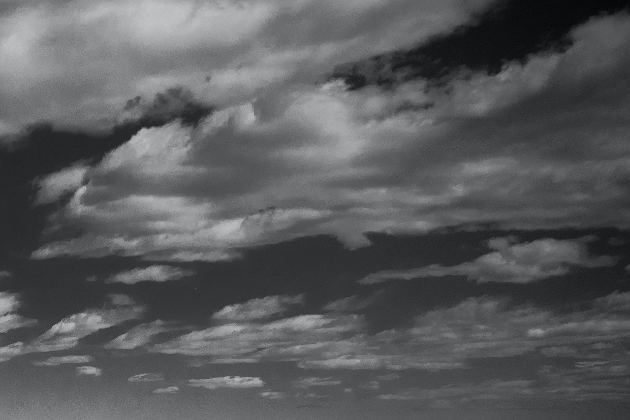 スペースノットブランク、“コロナ禍の時代の上演”前提とした「本人たち」始動