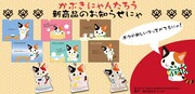 かぶきにゃんたろうの新グッズ。