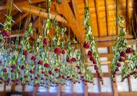 石井則仁 空間美術展「がらんどうの庭 in 松本パルコ」イメージ