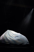 「Meditation -The day before daylight-」より。（撮影：柳原写真事務所）