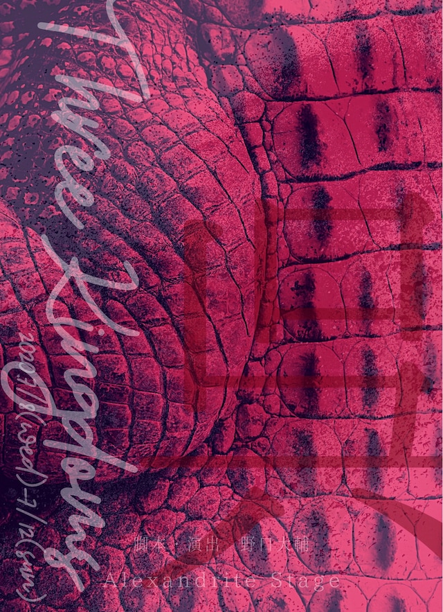 舞台「Three Kingdoms～呉国編～」チラシ面