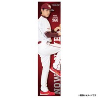 等身大チェンジングタペストリー(c) Rakuten Eagles