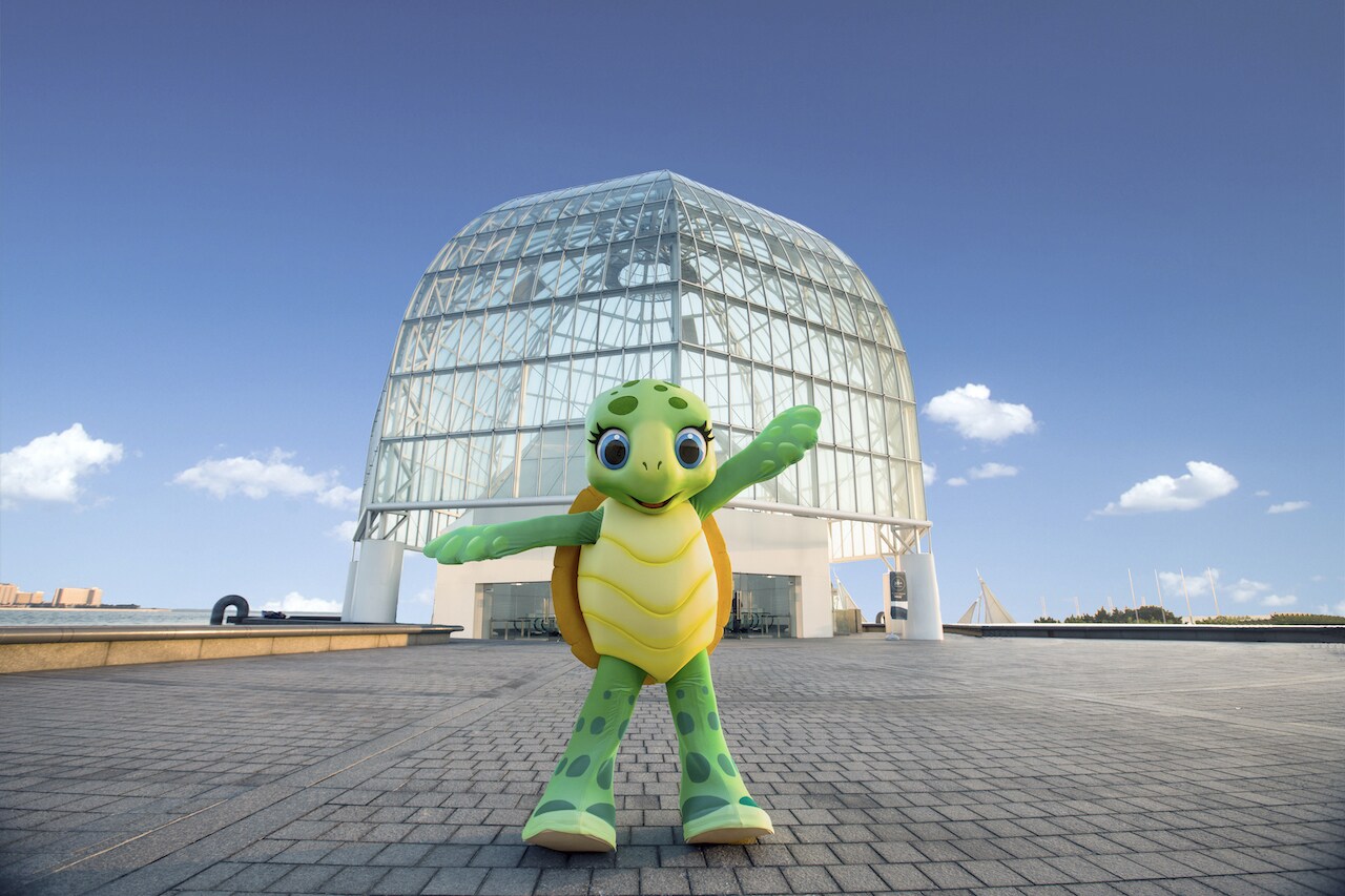 海の日に聴こう、「ホヌ・バイ・ザ・シー」のオリジナル楽曲がYouTubeで公開中