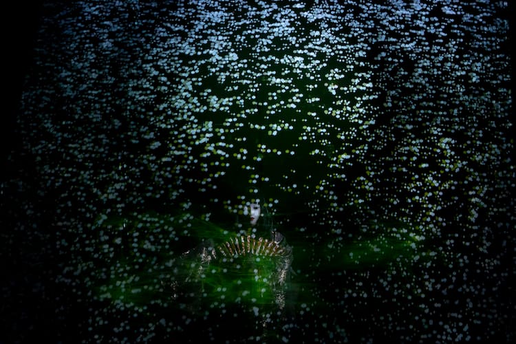 Vr能 攻殻機動隊 能楽師たちが草薙素子の面着け舞う姿公開 追加公演も ステージナタリー