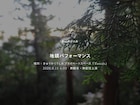 きゅうかくうしお、開墾した山林で「地鎮パフォーマンス」を無観客・無配信で実施