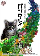 あなピグモ捕獲団 AUTUMN 2020「パンタレイと一匹の猫」チラシ表