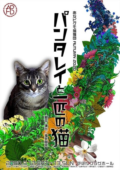 あなピグモ捕獲団 AUTUMN 2020「パンタレイと一匹の猫」チラシ表