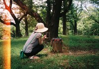 鳥公園（撮影：三浦雨林）