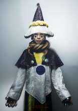 大平峻也扮する申公豹。