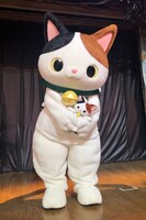 「サンリオサンクスパーティー（2018年）」より、「かぶきにゃんたろう ぬいぐるみ（だっこ）」を抱っこするかぶきにゃんたろう。