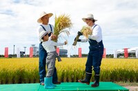 花角英世新潟県知事（右）から新潟米・新之助の稲穂を受け取る堀越勸玄（左手前）