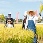 市川海老蔵&堀越勸玄親子が新潟米・新之助の稲刈りに初挑戦、勸玄「うれしかったです!」