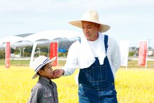 新潟米・新之助の稲刈りイベントより。左から堀越勸玄、市川海老蔵。