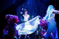 舞台「魔法使いの嫁 老いた竜と猫の国」ゲネプロより。