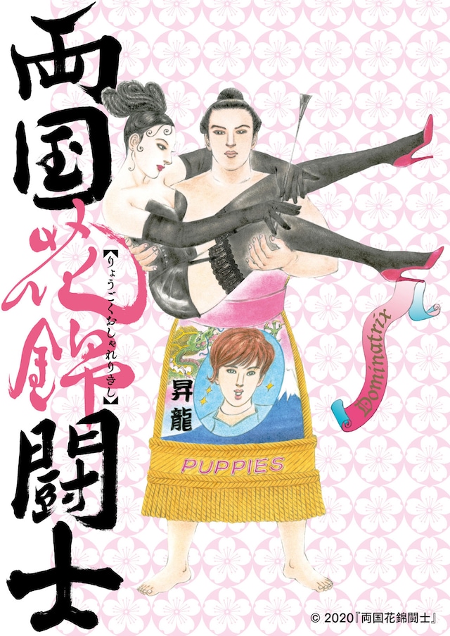 「両国花錦闘士」ビジュアル