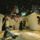シラカンが紡ぐ“動物を好きになるための話”「ぞう騒々」京都・横浜で上演