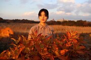 坂口彩夏
