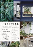 チーム夜営「ヤツデのころ展」チラシ裏