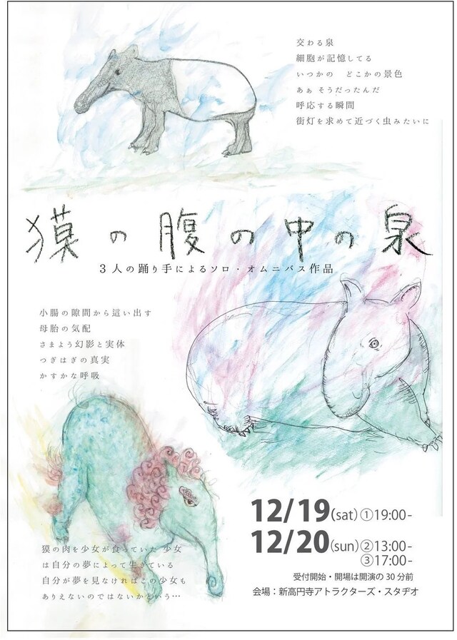 「『獏の腹の中の泉』～3人の踊り手によるソロ・オムニバス作品～」チラシ表