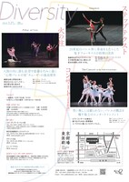 スターダンサーズ・バレエ団公演「Diversity」チラシ裏