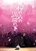 シネマ歌舞伎「野田版 桜の森の満開の下」ビジュアル