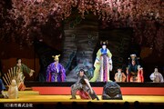 シネマ歌舞伎「野田版 桜の森の満開の下」より。(c)松竹