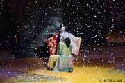 シネマ歌舞伎「野田版 桜の森の満開の下」より。(c)松竹