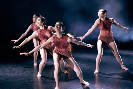 柴田美和「Oblivion」より。(撮影:菅原康太)