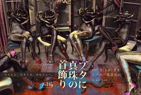 アマヤドリ「ブタに真珠の首飾り」ビジュアル