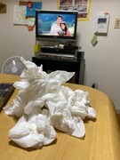 最終話に不時着した愛の山。（注：涙と鼻水です）