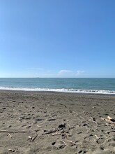 杉原邦生が育った神奈川・茅ヶ崎の海辺。穏やかな波や、水平線が美しい。