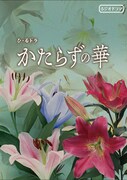 AuDeeオリジナルラジオドラマ「かたらずの華」ビジュアル