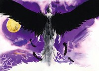 「白鳥の湖 Swan Lake」（303 BOOKS）より。