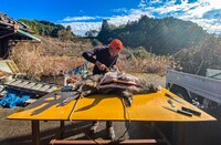 「Koji Return」イメージカット