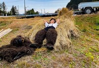 「Koji Return」イメージカット