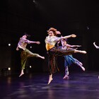 「吉祥寺ダンスリライト」開幕、vol.2に相応しい意欲的な作品が大集合