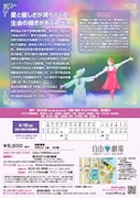 ミュージカル「夢から醒めた夢」チラシ裏