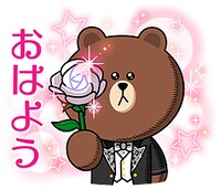 「BROWN & FRIENDS×宝塚歌劇」のサンプル。