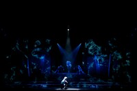 舞台「文豪ストレイドッグス DEAD APPLE」より。