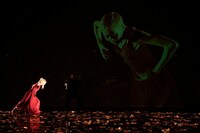 「夏の名残のバラ」より。（Photo by Kishin Shinoyama）