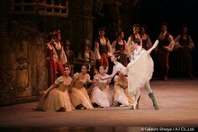 スターダンサーズ・バレエ団公演 ピーター・ライト版「コッペリア」より。(c)Takeshi Shioya（A.I Co., Ltd.）