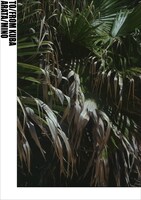 三野新 写真集「クバへ／クバから」