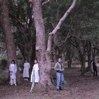 演劇ユニットHORIZON、新作「Contamination」で謎の奇病巡る物語