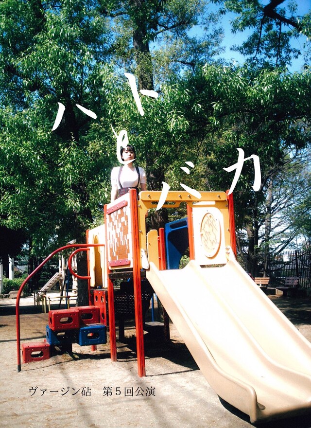 ヴァージン砧 第5回公演「ハトとバカ」チラシ表