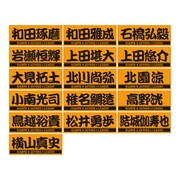 DIAMOND BEARSの「ACTORS☆LEAGUE×GIANTS プレーヤーズフェイスタオル」。