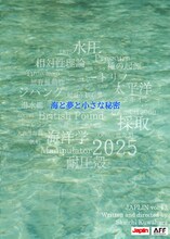 JAPLIN「海と夢と小さな秘密」チラシ表