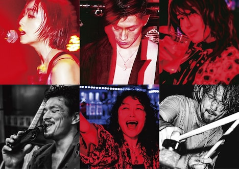 上段左から安達祐実、玉置玲央、佐津川愛美、下段左から目次立樹、池津祥子、岡田義徳。