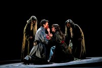 「森 フォレ」より。（撮影：細野晋司）