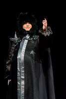 舞台「ル・シッド」より。（撮影：山副圭吾）