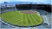 兵庫・阪神甲子園球場